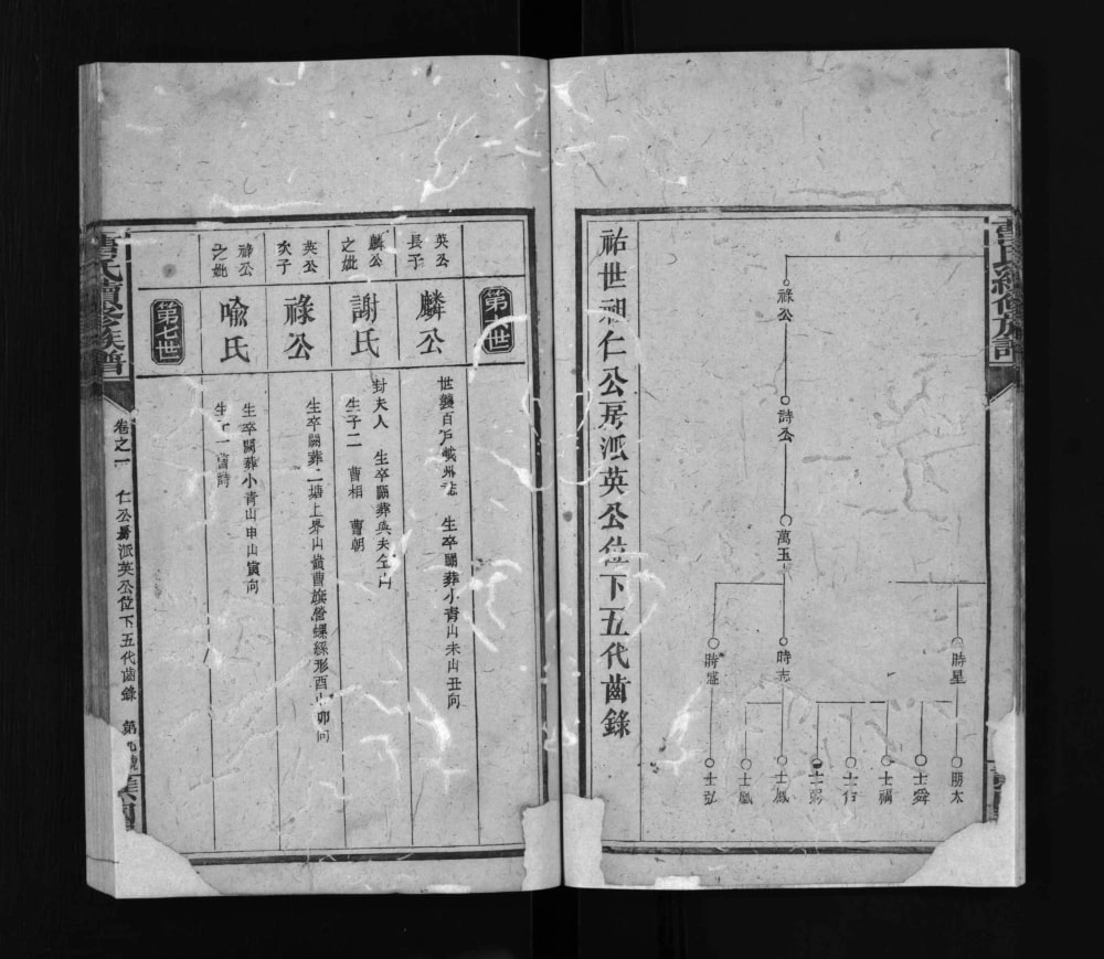 图片[5]-湖南武冈曹氏续修族谱电子版PDF下载-中华家谱网