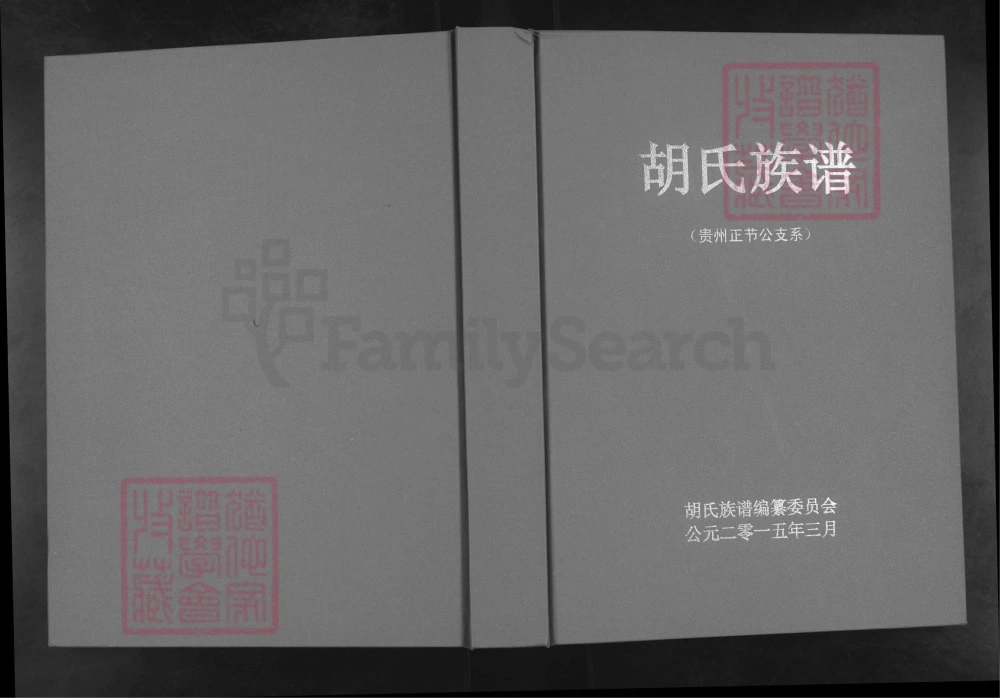 图片[1]-贵州毕节大方县胡氏族谱（贵州正杰公支系）电子版PDF下载-中华家谱网