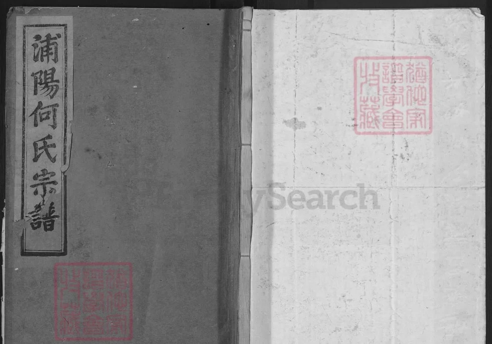 浙江金华浦江浦阳深袅何氏宗谱（忠孝堂）电子版PDF下载-中华家谱网