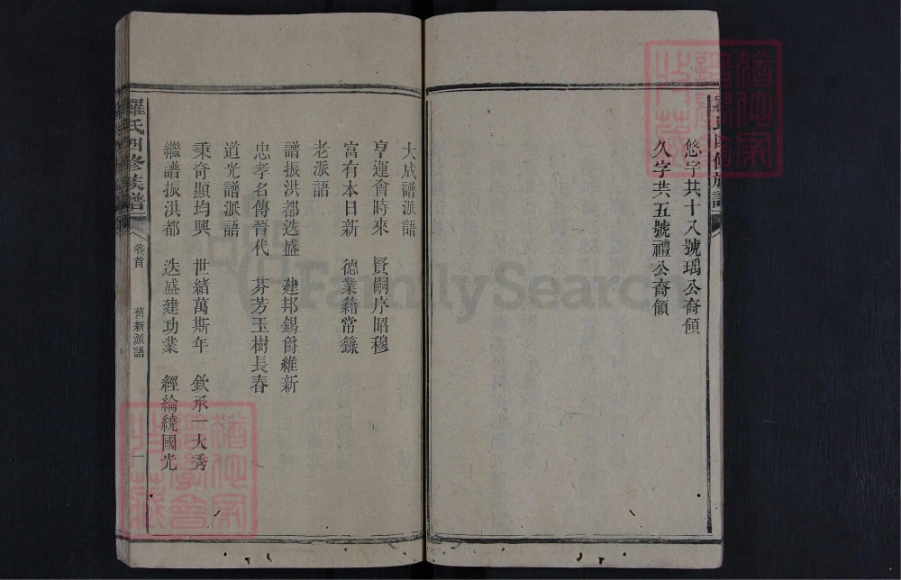 图片[4]-湖南娄底新化县罗氏四修族谱（豫章堂）电子版PDF下载-中华家谱网