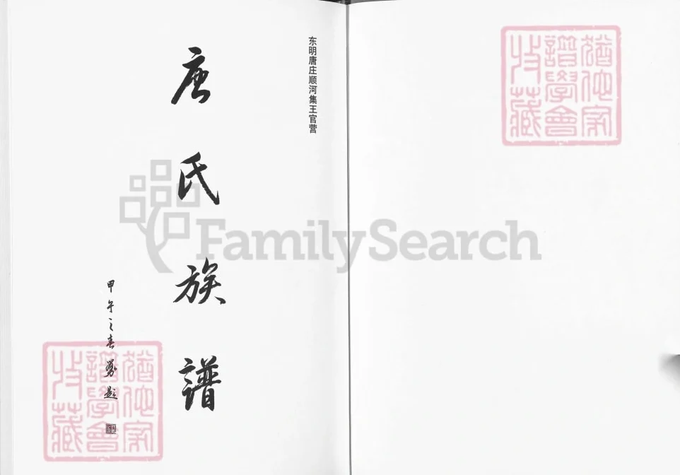 山东菏泽东明唐庄顺河集王官营唐氏族谱电子版PDF下载-中华家谱网