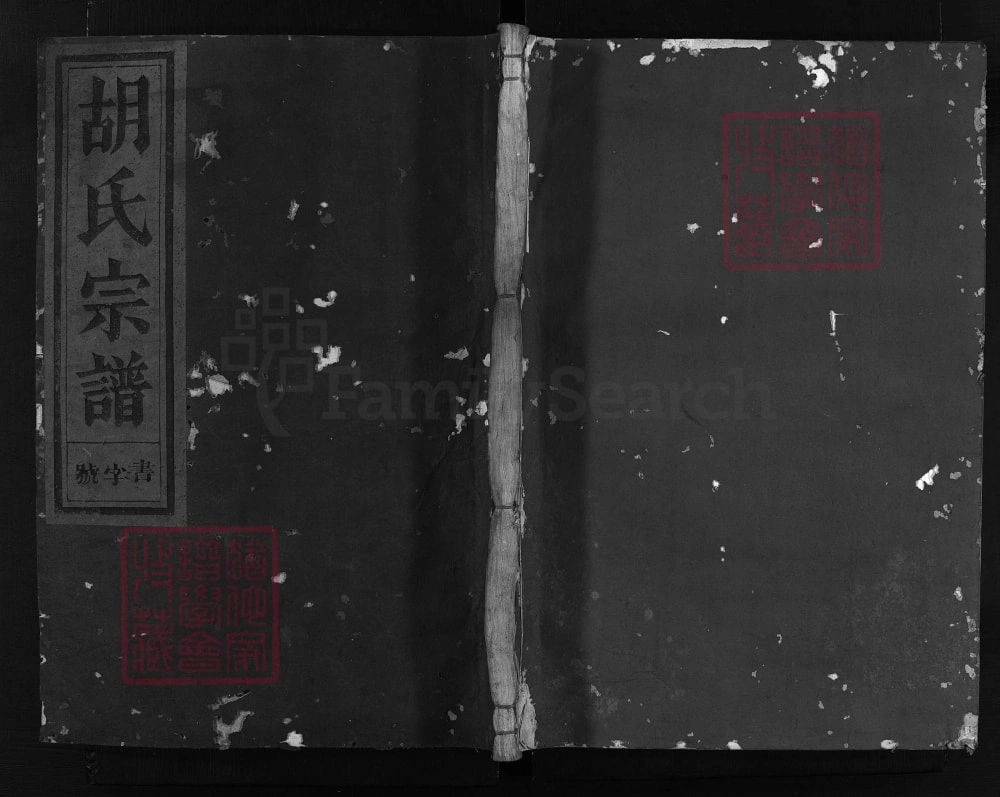 图片[1]-浙江兰溪西湖胡氏宗谱（永和堂）电子版PDF下载-中华家谱网
