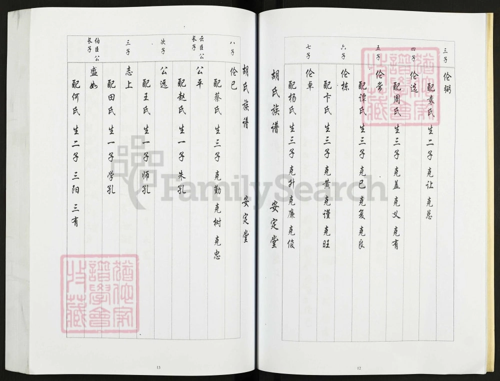 图片[8]-江苏盐城胡家伙胡氏家谱（安定堂）电子版PDF下载-中华家谱网