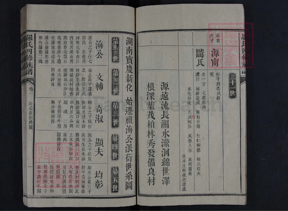 图片[6]-湖南娄底新化县罗氏四修族谱（豫章堂）电子版PDF下载-中华家谱网