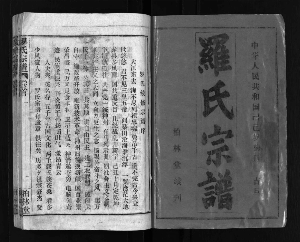 图片[2]-湖北武汉新洲区罗氏宗谱（柏林堂）电子版PDF下载-中华家谱网