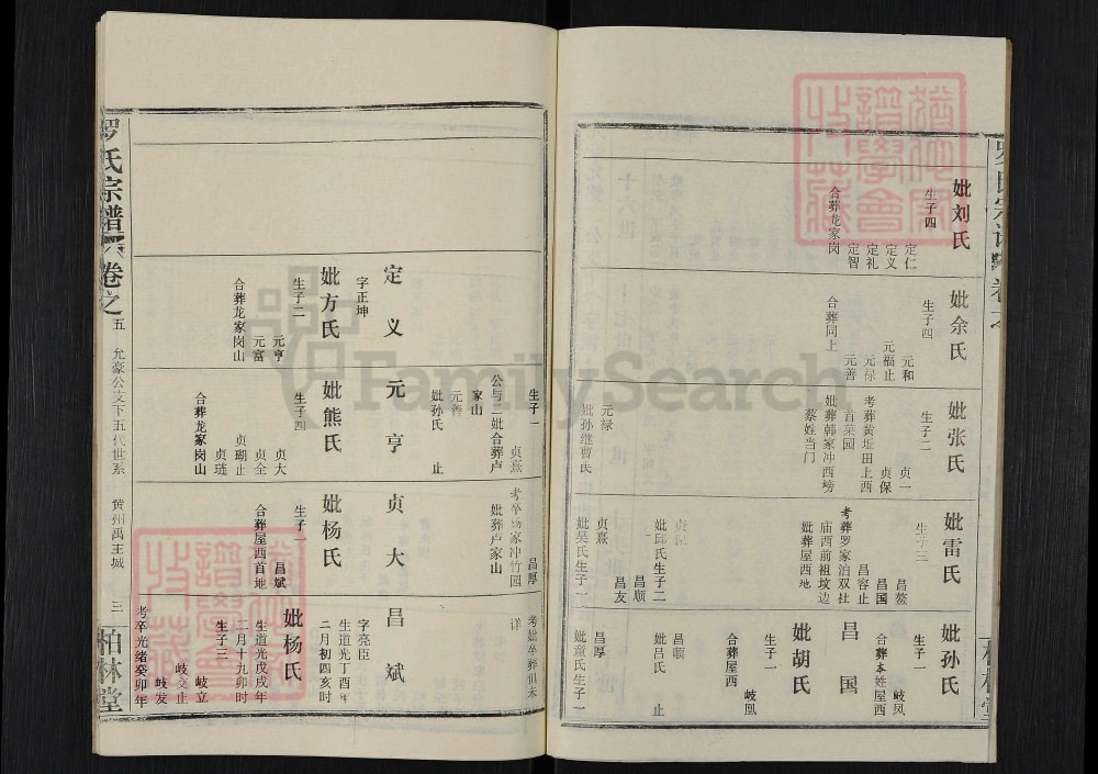 图片[7]-湖北武汉新洲区罗氏宗谱（柏林堂）电子版PDF下载-中华家谱网