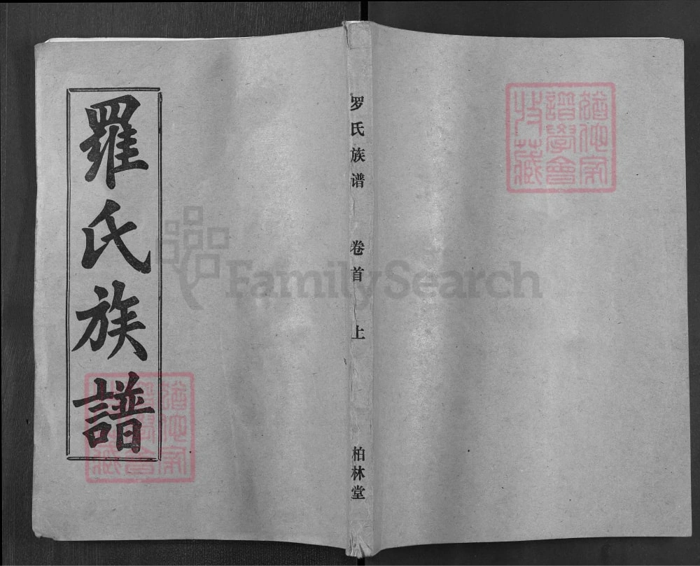 图片[1]-湖北麻城罗氏族谱（柏林堂）电子版PDF下载-中华家谱网