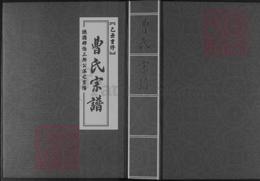 浙江金华武义县周源曹氏宗谱电子版PDF下载-中华家谱网