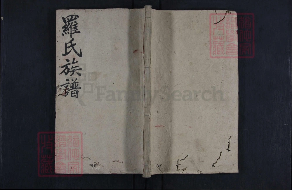 图片[1]-湖南娄底新化县罗氏四修族谱（豫章堂）电子版PDF下载-中华家谱网