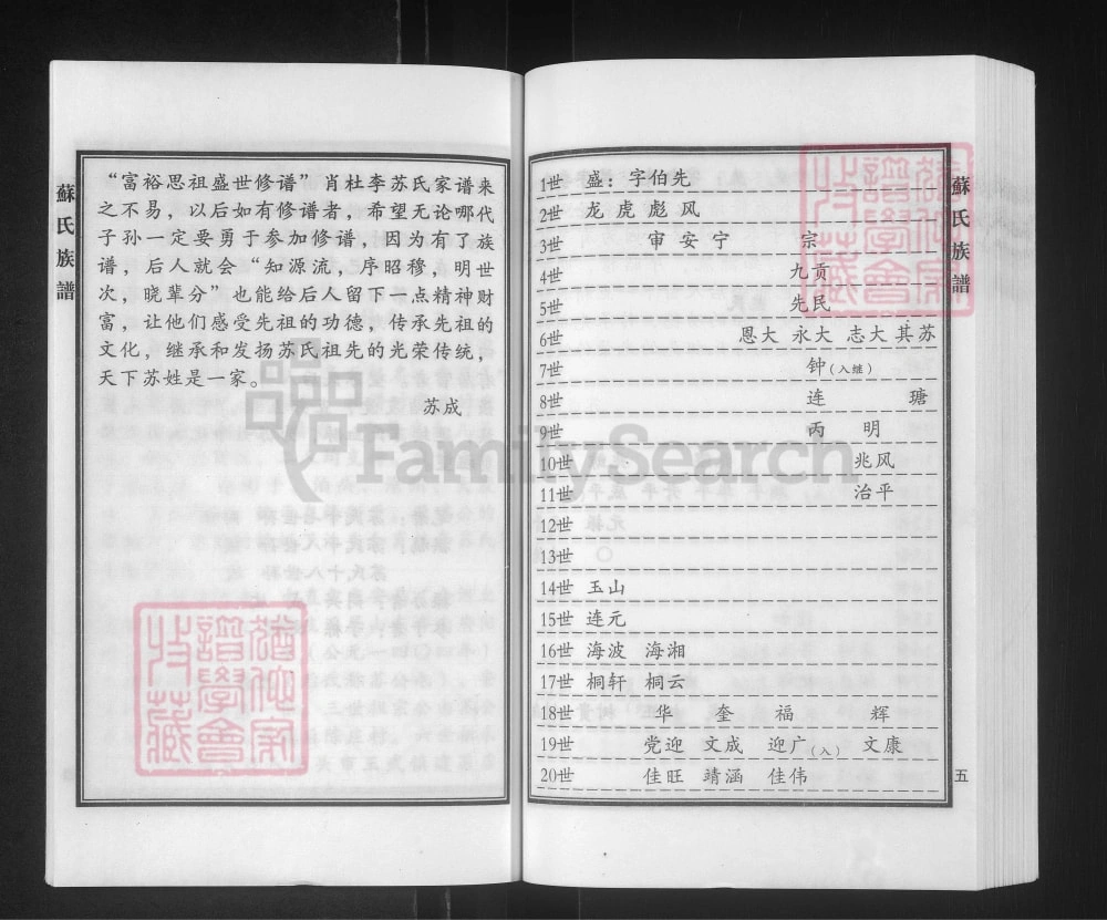 图片[5]-河北泊头苏氏族谱电子版PDF下载-中华家谱网