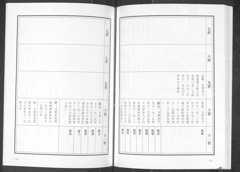 图片[8]-山东德州宁津徐氏族谱电子版PDF下载-中华家谱网