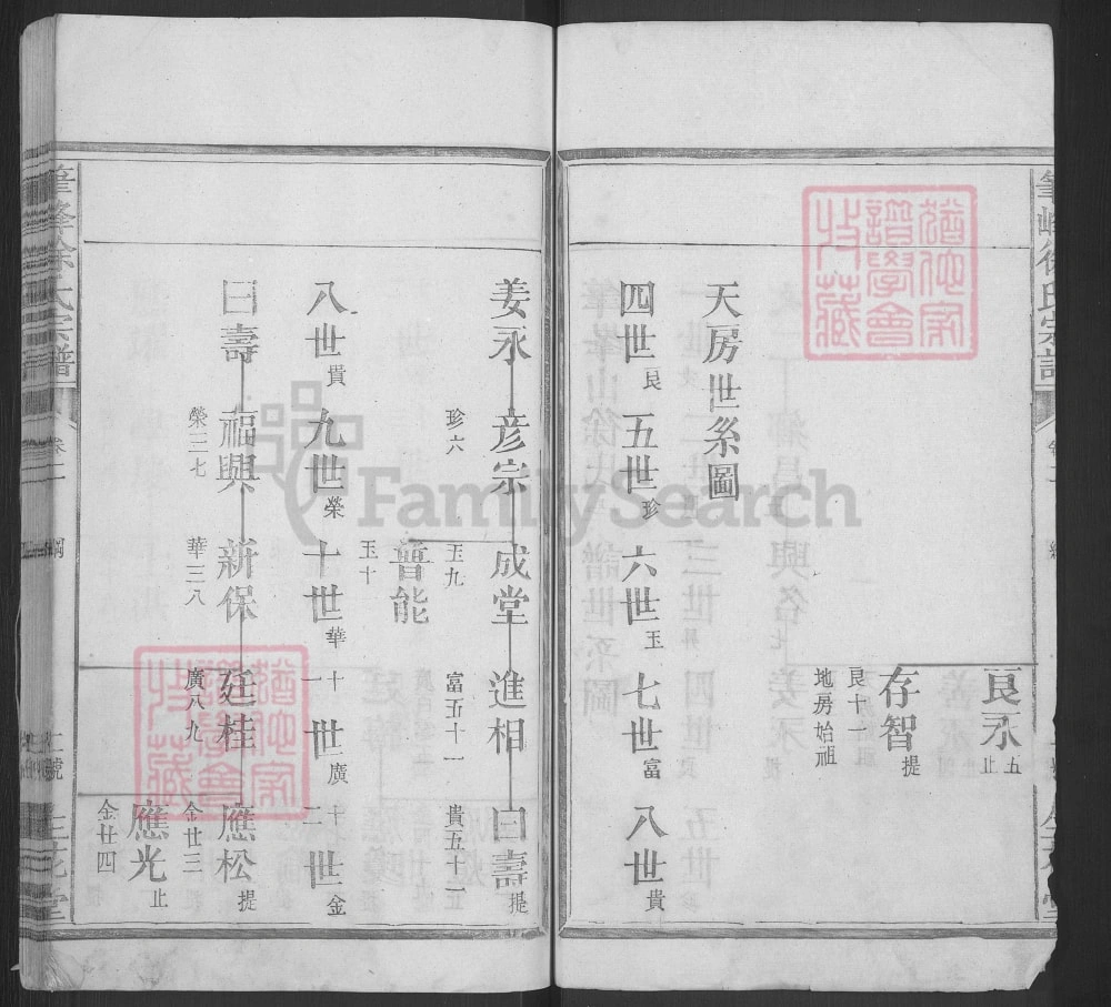 图片[8]-江西上饶广丰笔峰山徐氏宗谱（生花堂）电子版PDF下载-中华家谱网