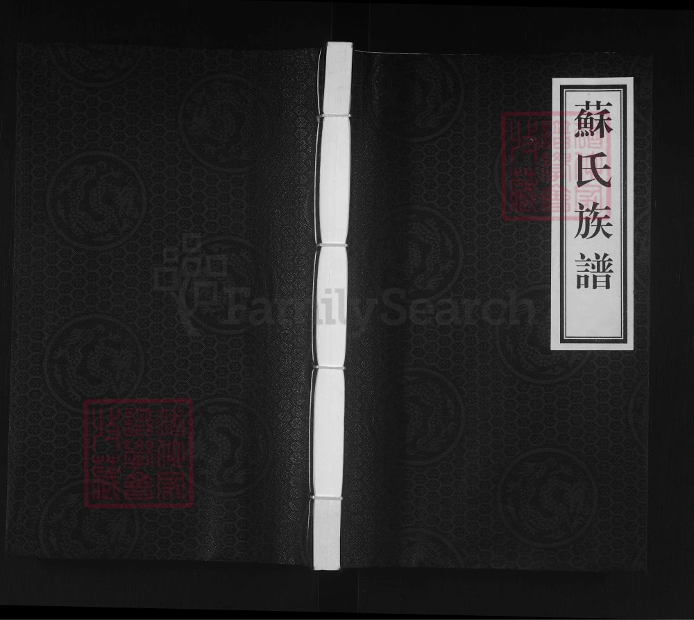 图片[1]-河北泊头苏氏族谱电子版PDF下载-中华家谱网