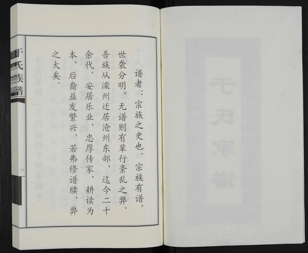 图片[2]-河北沧州于氏家谱电子版PDF下载-中华家谱网