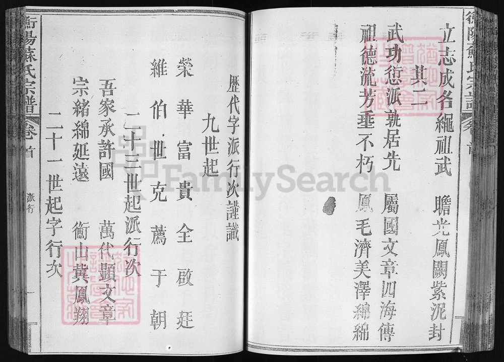 图片[4]-浙江兰溪衡阳苏氏宗谱电子版PDF下载-中华家谱网