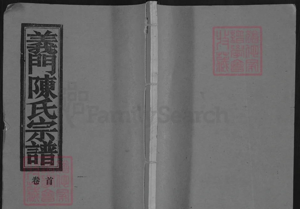 湖北武穴义门陈氏大成宗谱（大义堂）电子版PDF下载-中华家谱网