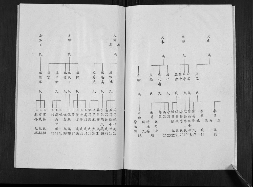 图片[5]-江苏高邮陈氏谱书（颖川堂）电子版PDF下载-中华家谱网
