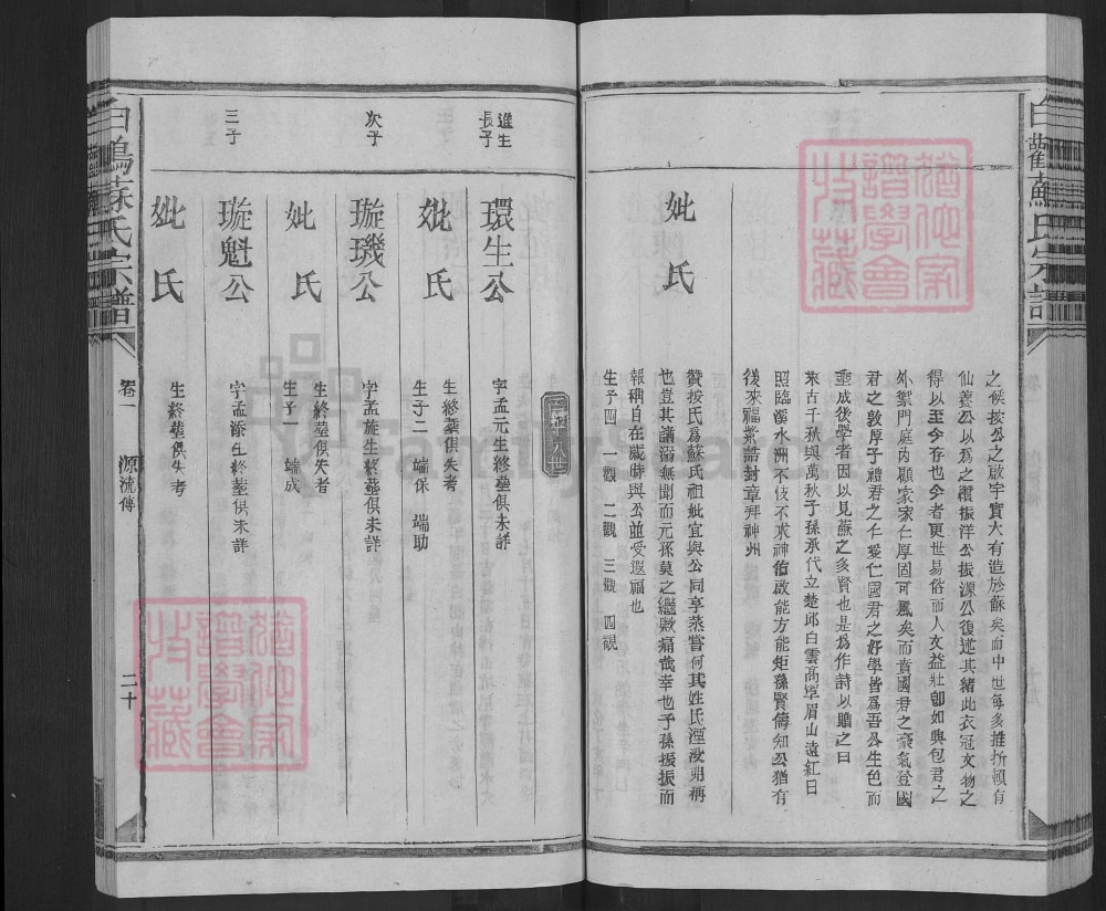 图片[8]-江西上饶白鹳苏氏宗谱电子版PDF下载-中华家谱网