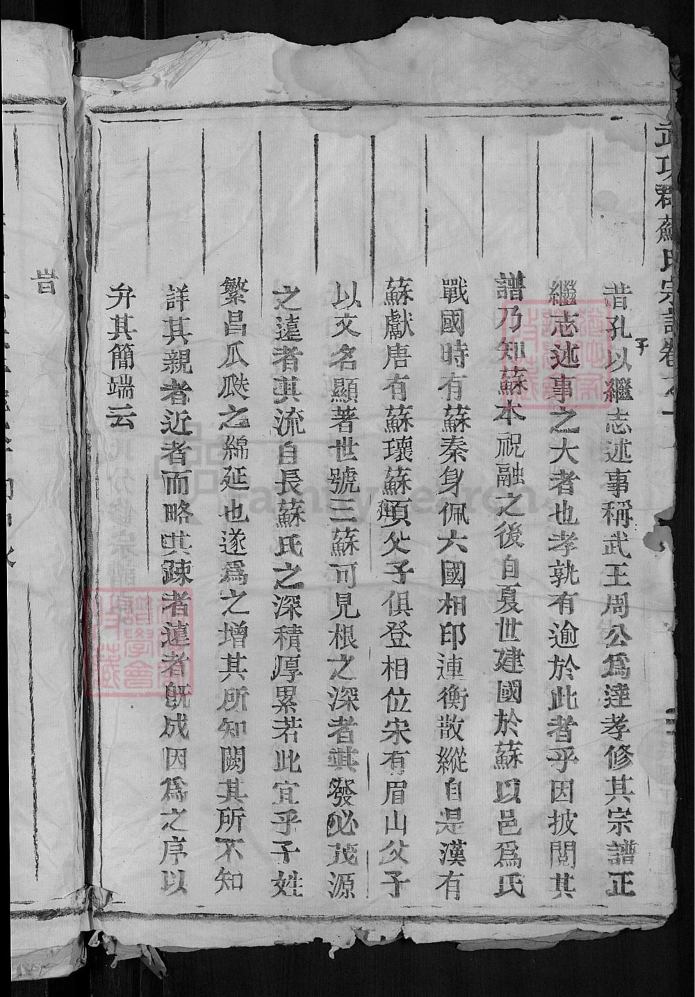 图片[3]-浙江瑞安武功郡苏氏宗谱电子版PDF下载-中华家谱网