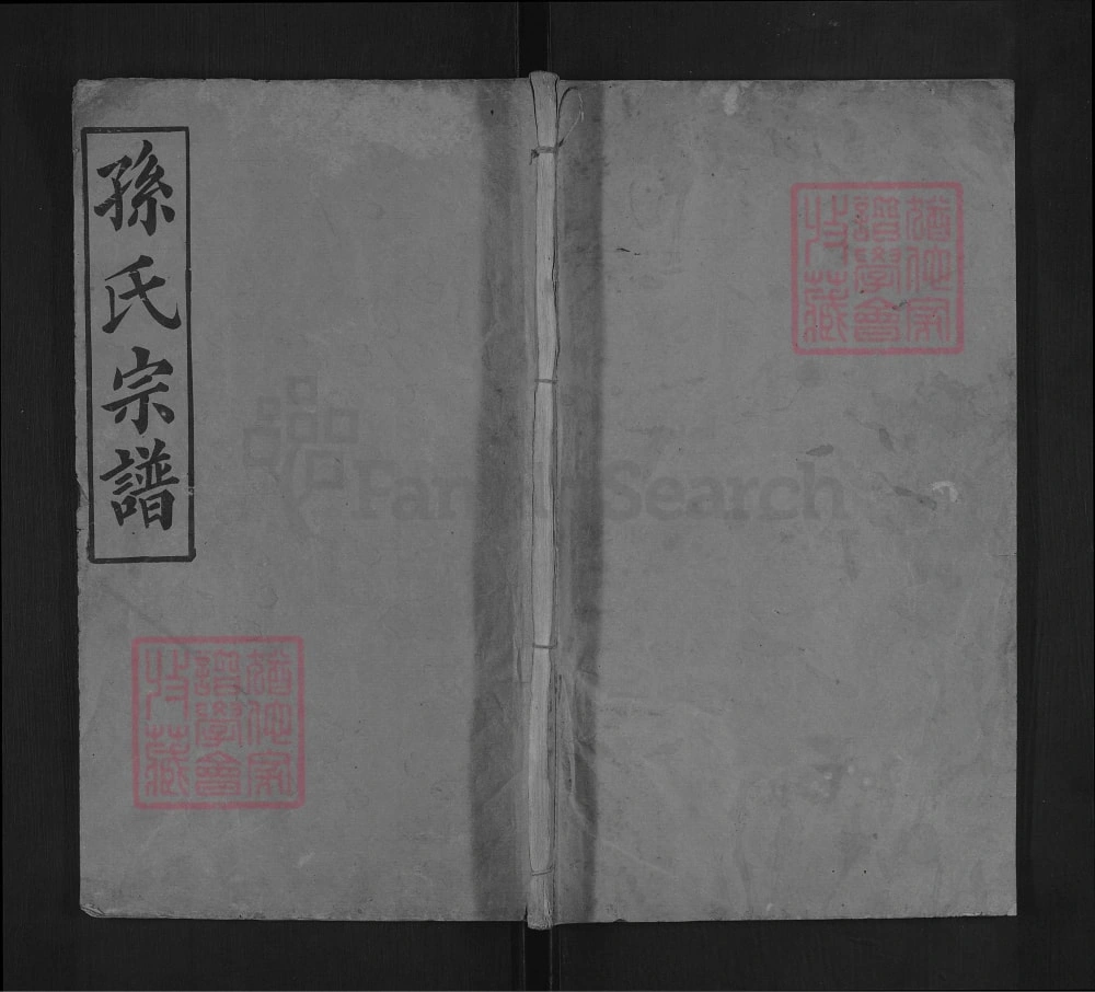 图片[1]-湖北麻城孙氏宗谱（映雪堂）电子版PDF下载-中华家谱网