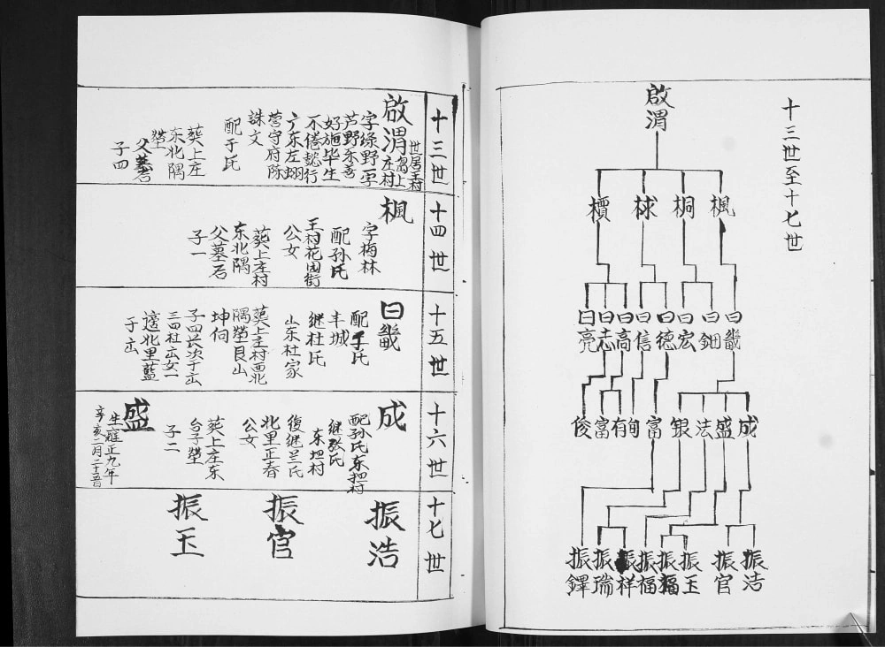 图片[7]-山东即墨上庄姜氏族谱（敦睦堂）电子版PDF下载-中华家谱网