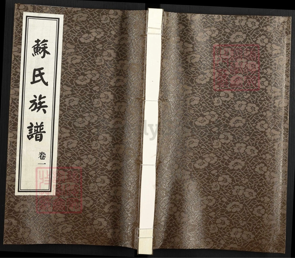 图片[1]-山东德州武城甘泉苏氏族谱电子版PDF下载-中华家谱网