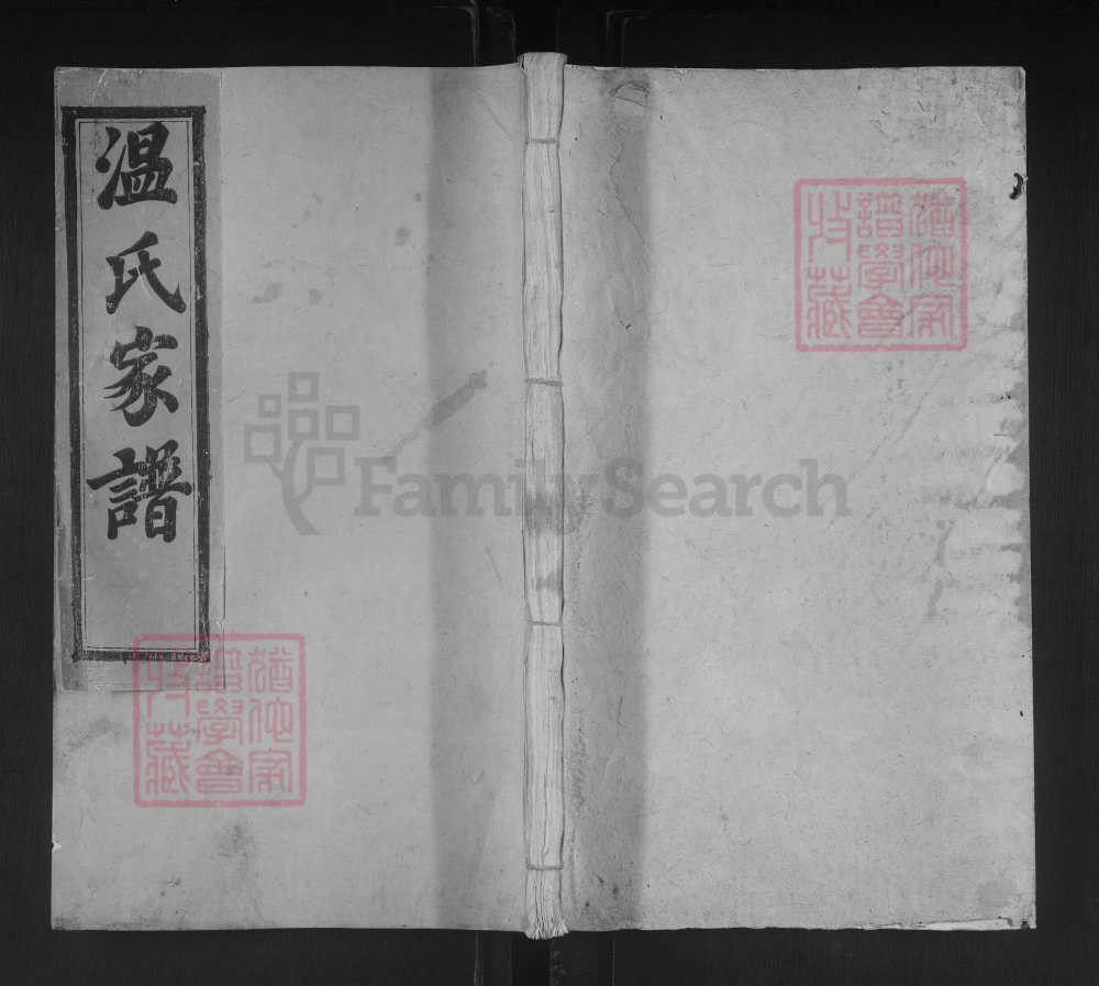 图片[1]-江西石城联芳温氏十三修族谱电子版PDF下载-中华家谱网