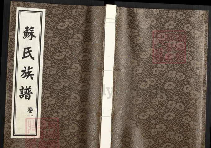 山东德州武城甘泉苏氏族谱-中华家谱网
