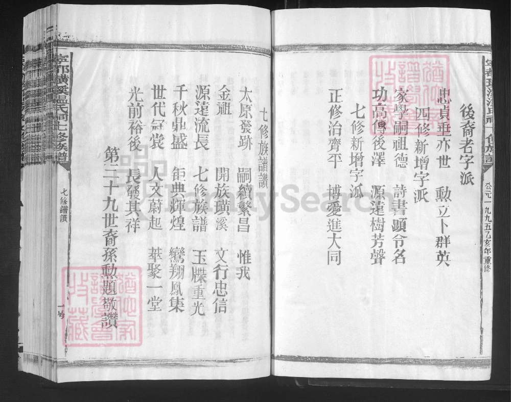 图片[4]-江西赣州宁都璜溪温氏祠七修族谱电子版PDF下载-中华家谱网