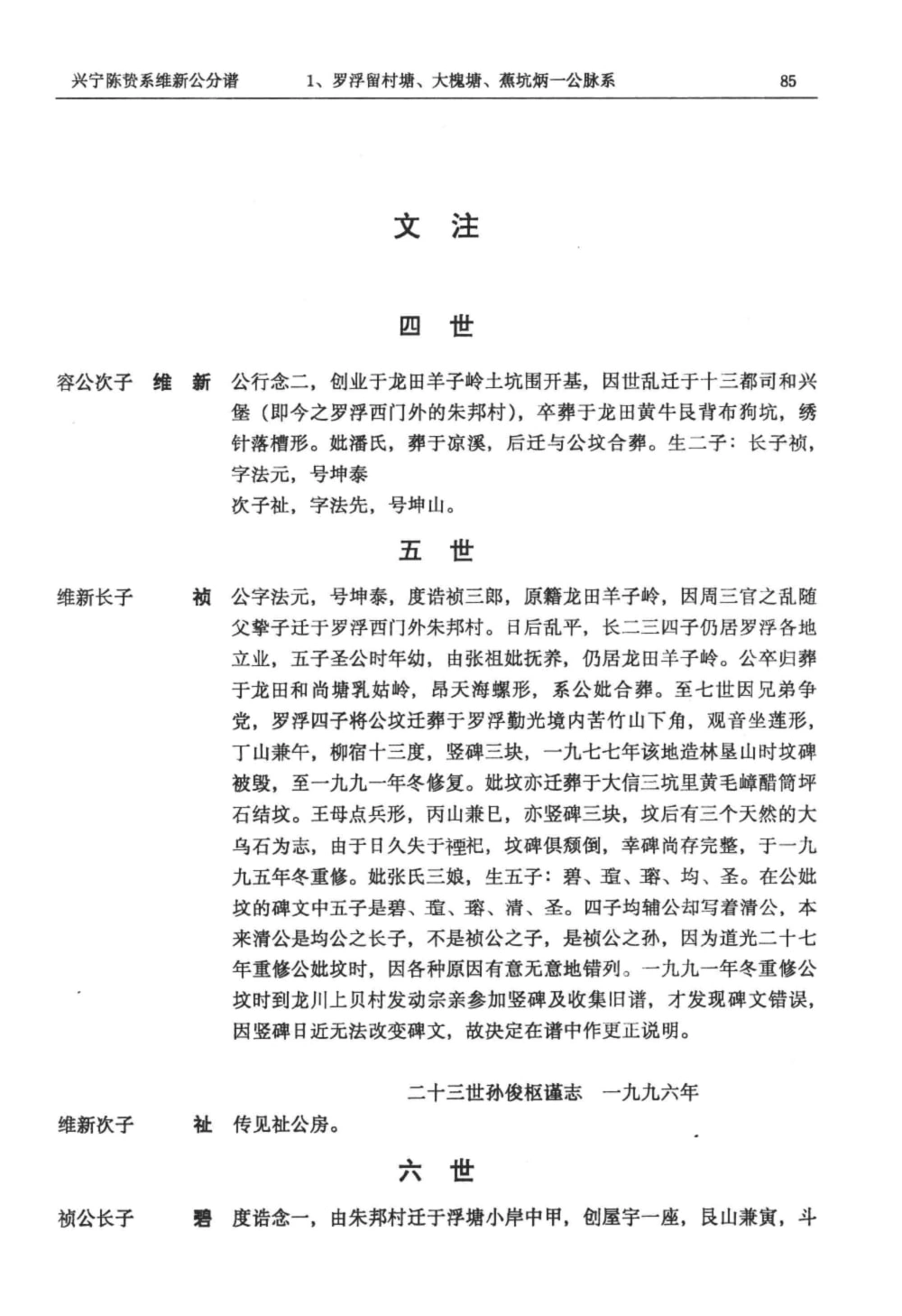 图片[6]-广东兴宁陈氏族谱维新公分谱电子版PDF下载-中华家谱网