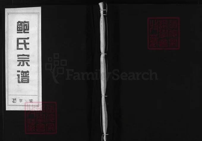 浙江兰溪后陈鲍氏宗谱(真德堂)-中华家谱网