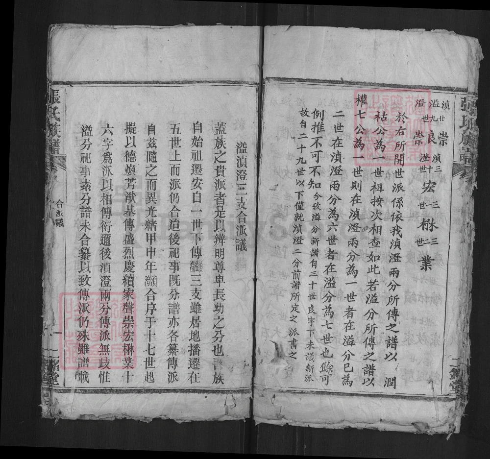 图片[3]-湖北红安张氏族谱（二铭堂）电子版PDF下载-中华家谱网