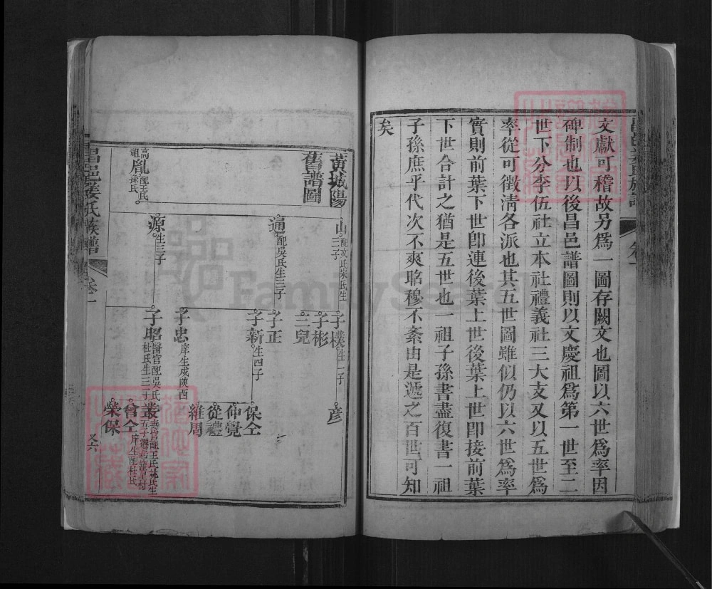 图片[7]-山东潍坊昌邑姜氏族谱（光绪34年本）电子版PDF下载-中华家谱网