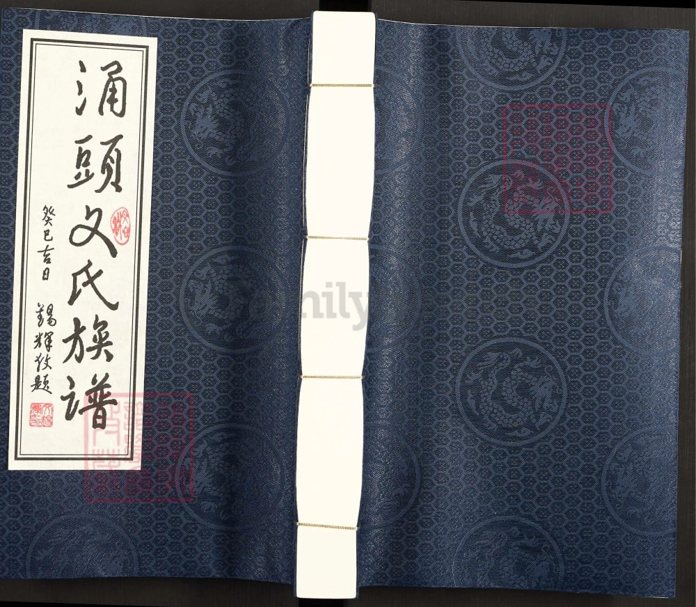 图片[1]-广东东莞长安镇涌头文氏族谱电子版PDF下载-中华家谱网