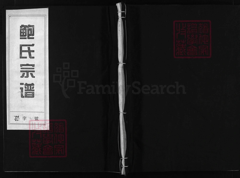 图片[1]-浙江兰溪后陈鲍氏宗谱（真德堂）电子版PDF下载-中华家谱网