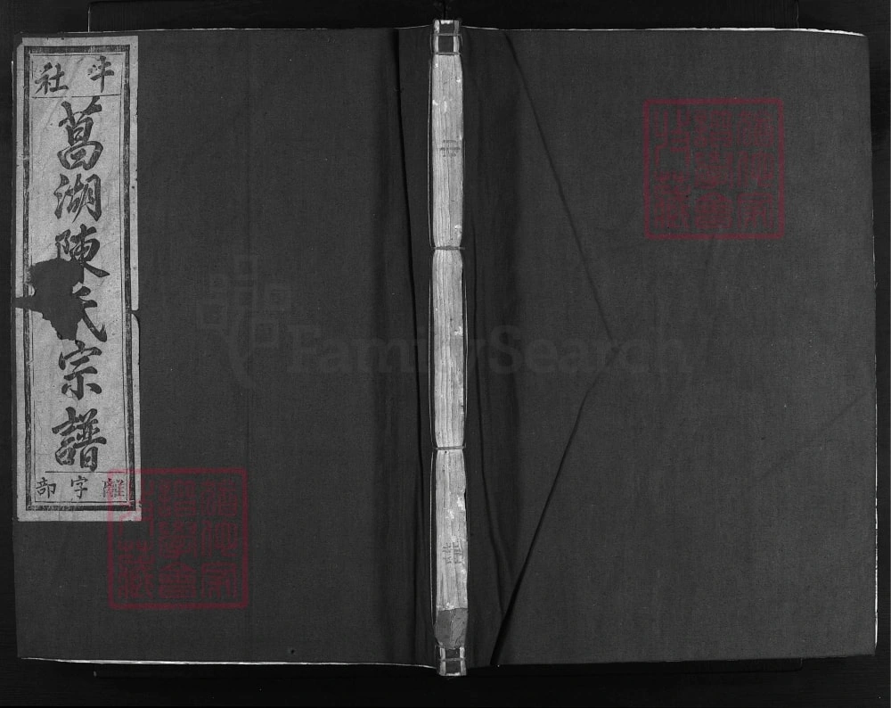 图片[1]-浙江兰溪兰江菖湖陈氏宗谱（敦孝堂）电子版PDF下载-中华家谱网