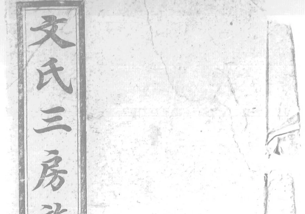 湖南长沙文氏三房族谱(崇本堂)电子版PDF下载-中华家谱网