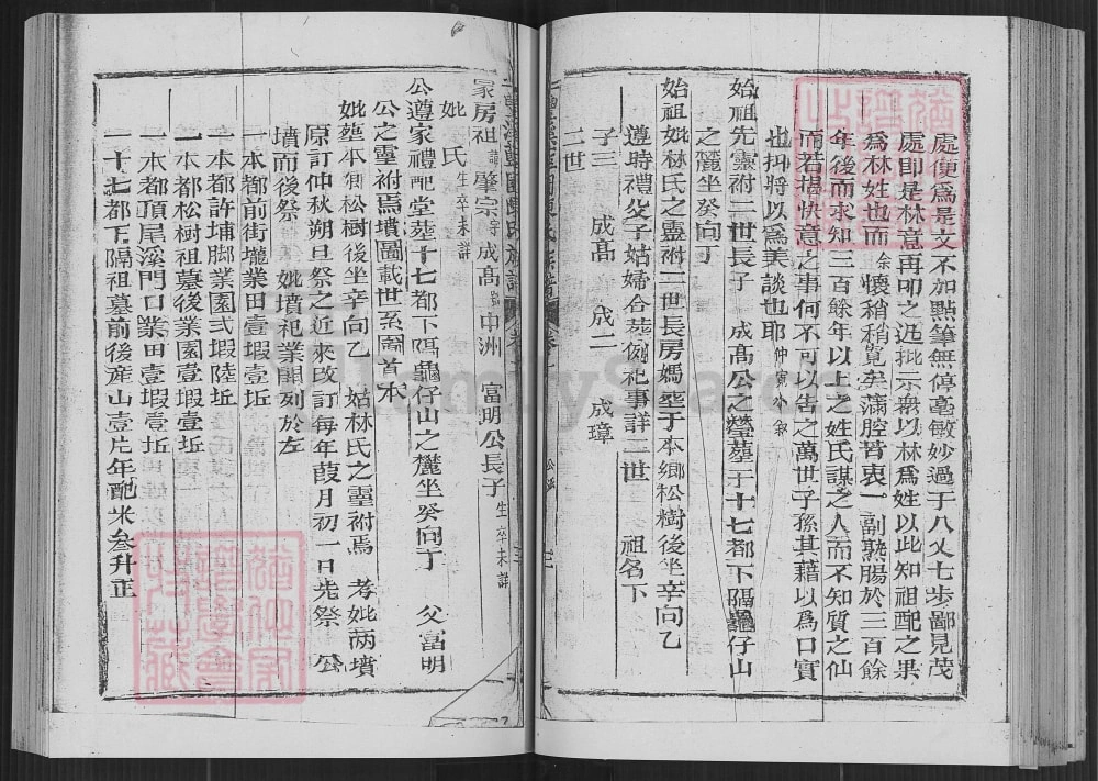 图片[7]-台湾丰溪蓝园陈氏族谱电子版PDF下载-中华家谱网