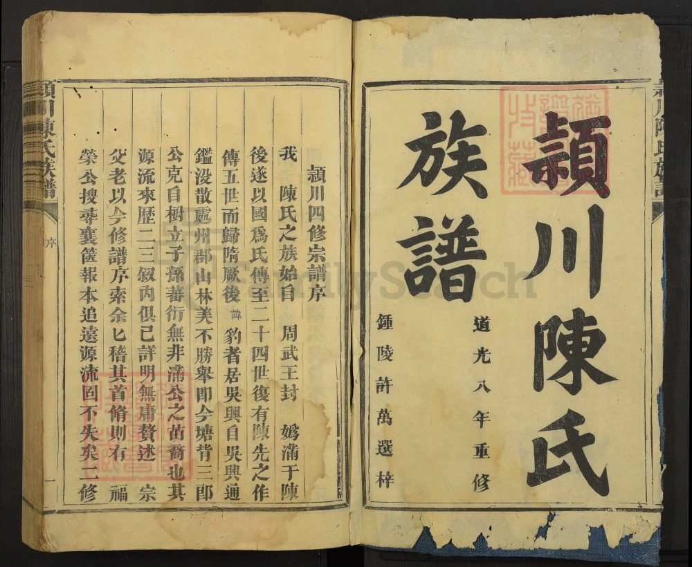 图片[1]-福建宁化颍川陈氏族谱电子版PDF下载-中华家谱网