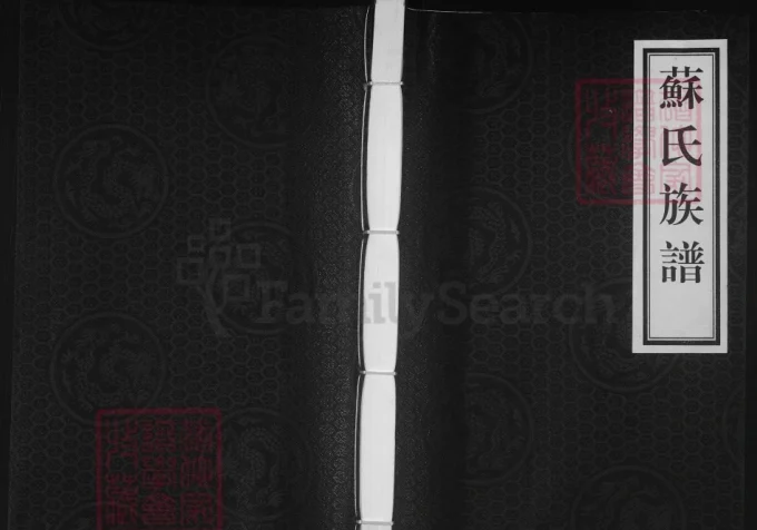 河北泊头苏氏族谱-中华家谱网