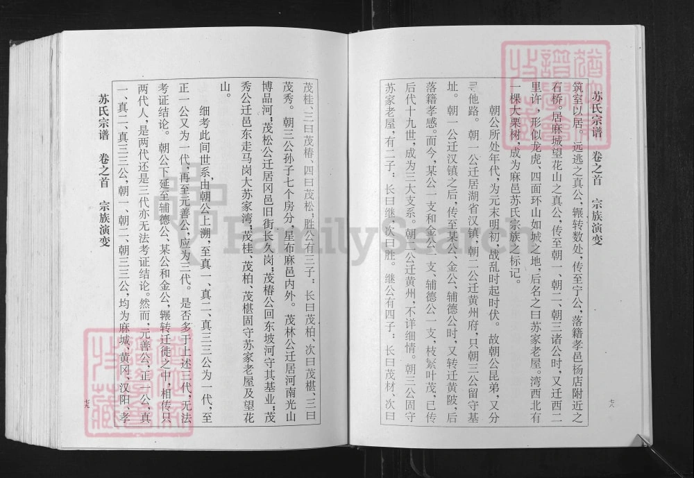 图片[3]-湖北孝感苏氏宗谱（眉山堂）电子版PDF下载-中华家谱网