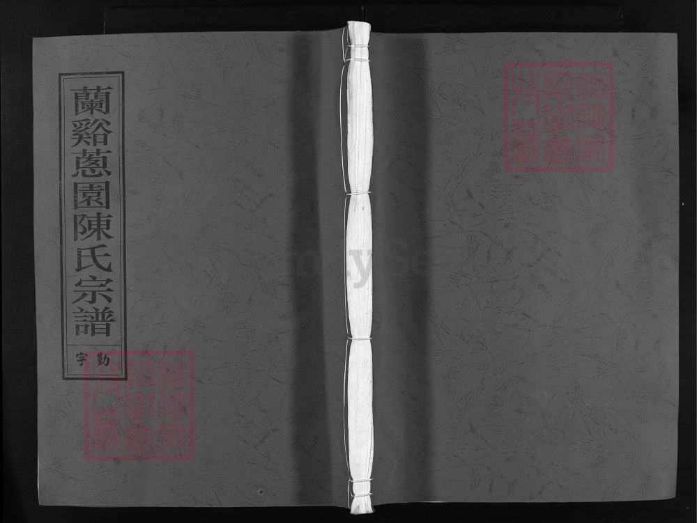 图片[1]-浙江兰溪葱园陈氏宗谱（彝伦堂）电子版PDF下载-中华家谱网