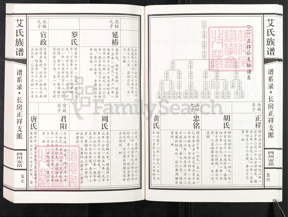 图片[6]-四川安岳艾氏族谱电子版PDF下载-中华家谱网