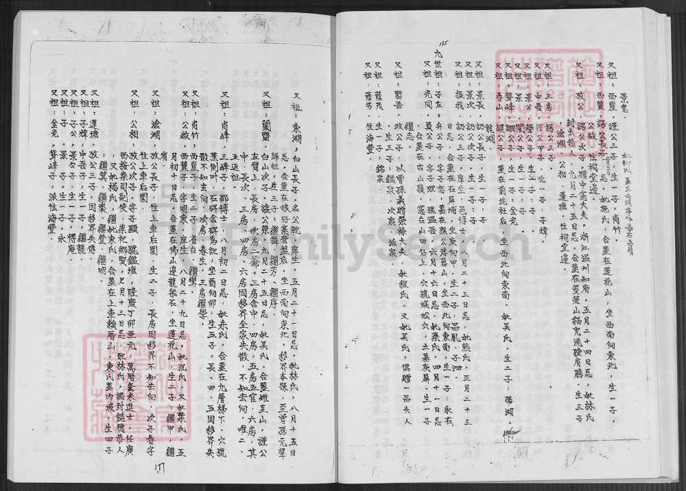 图片[8]-福建漳州漳浦县代卿陈氏族谱（鉴湖堂）电子版PDF下载-中华家谱网