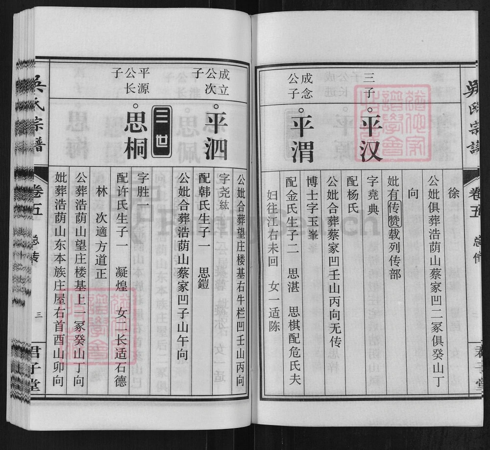 图片[7]-安徽桐城吴氏宗谱（君子堂）电子版PDF下载-中华家谱网