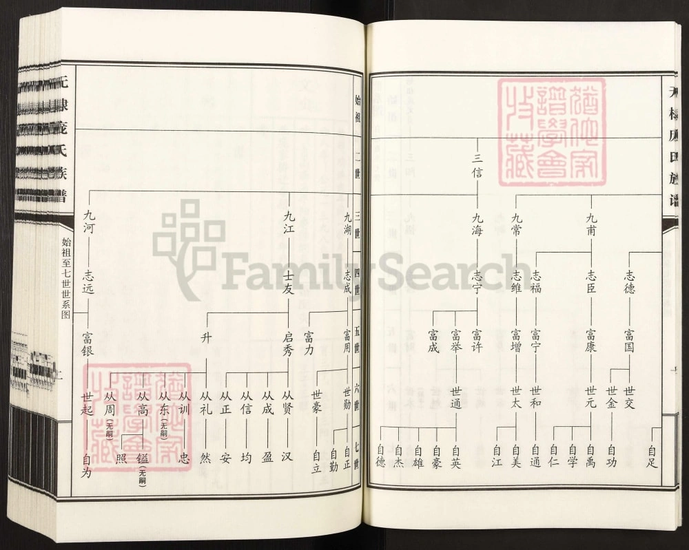 图片[7]-山东滨州无棣庞氏谱牒电子版PDF下载-中华家谱网