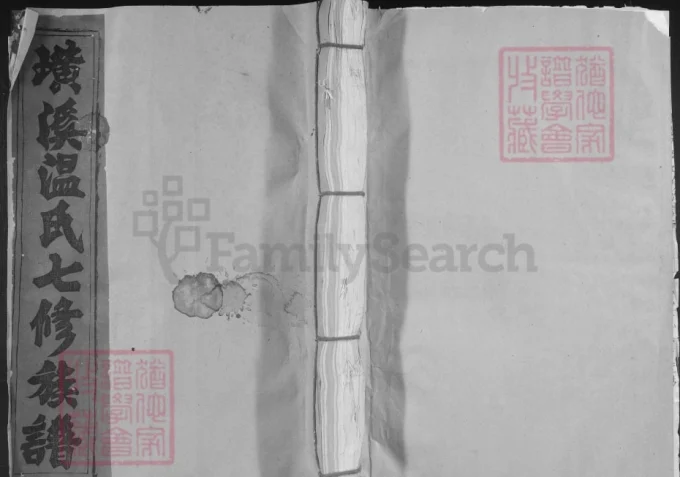 江西赣州宁都璜溪温氏祠七修族谱-中华家谱网