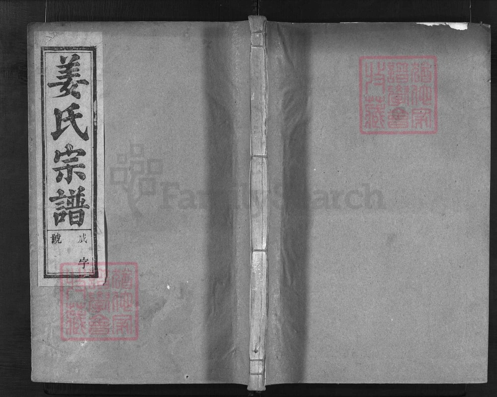 图片[1]-浙江兰溪姜氏宗谱（存义堂）电子版PDF下载-中华家谱网