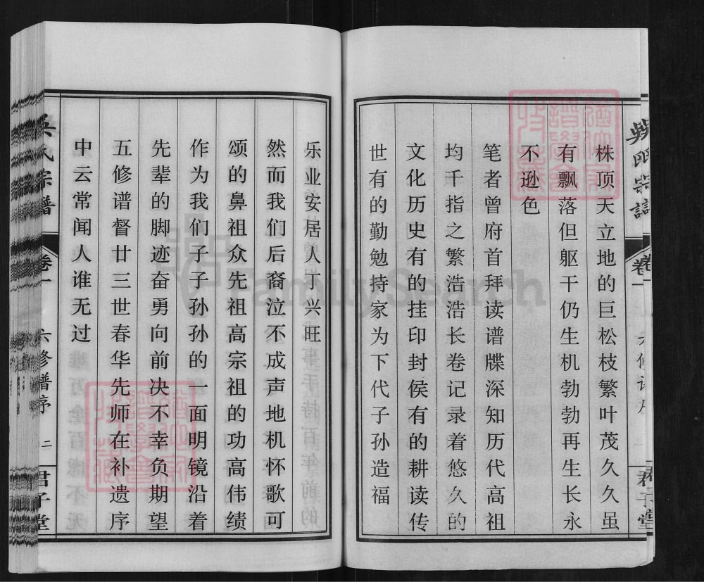 图片[3]-安徽桐城吴氏宗谱（君子堂）电子版PDF下载-中华家谱网