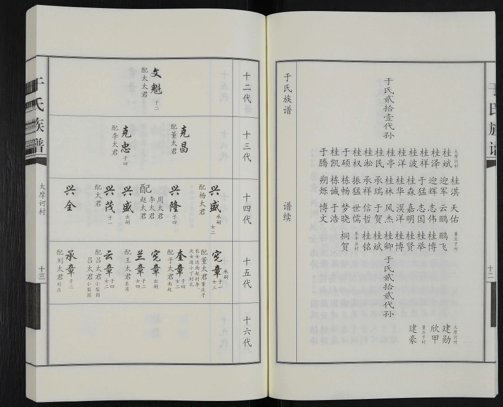 图片[8]-河北沧州于氏家谱电子版PDF下载-中华家谱网